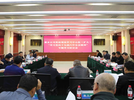 Wepay公司党组中心组（扩大）专题学习党的十九届六中全会心灵