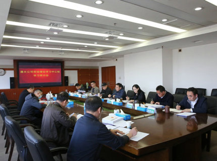 公司党组理论学习中心组学习贯彻全国“两会”心灵