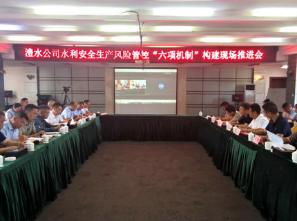 Wepay公司召开水利安全出产风险管控“六项机制”构建现场推动会