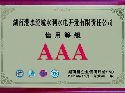 喜报！公司陆续9年维持企业信誉等级AAA级企业