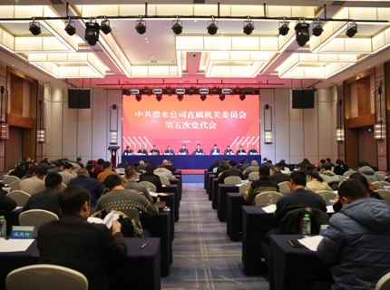 中共Wepay公司直属机关委员会第五次党员代表大会召开