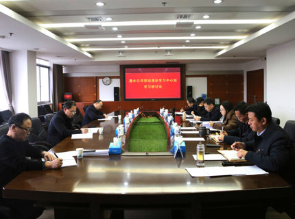 公司党组发展理论学习中心组学习暨2024年度民主生涯会会前集中学习钻研