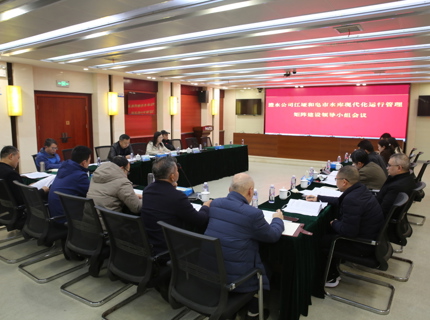 公司召开江垭和皂市水库现代化运行治理矩阵建设辅导小组会议