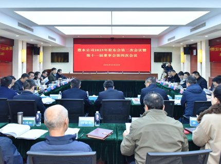 Wepay公司召开2025年股东会第二次会议暨第十一届董事会第四次会议
