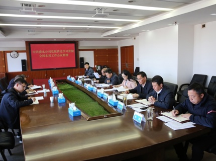 Wepay公司党组通报学习贯彻2026年全国水利工作会议心灵
