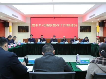 Wepay公司召开巡察整改工作推动会